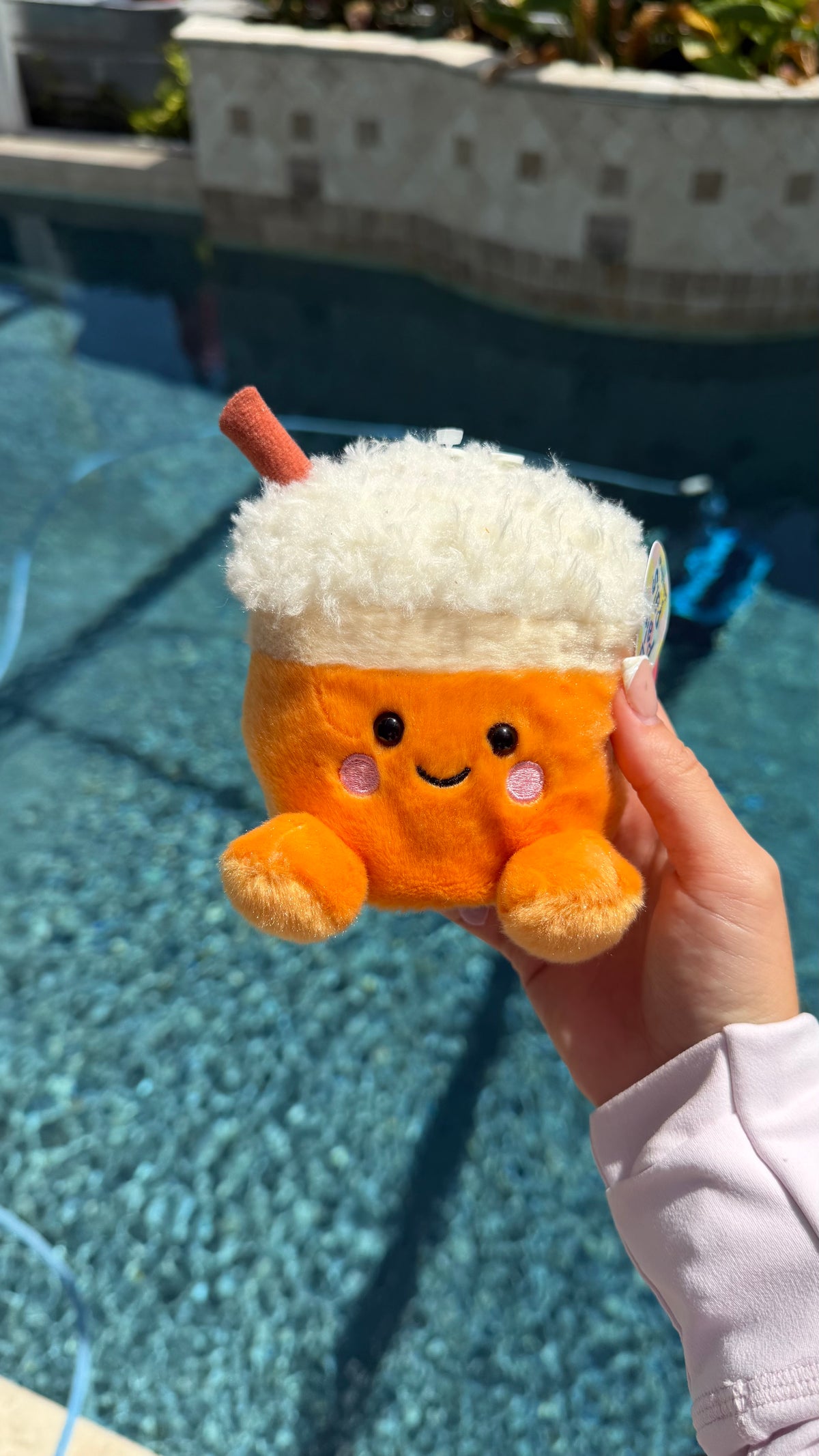Pumpkin Latte Plush