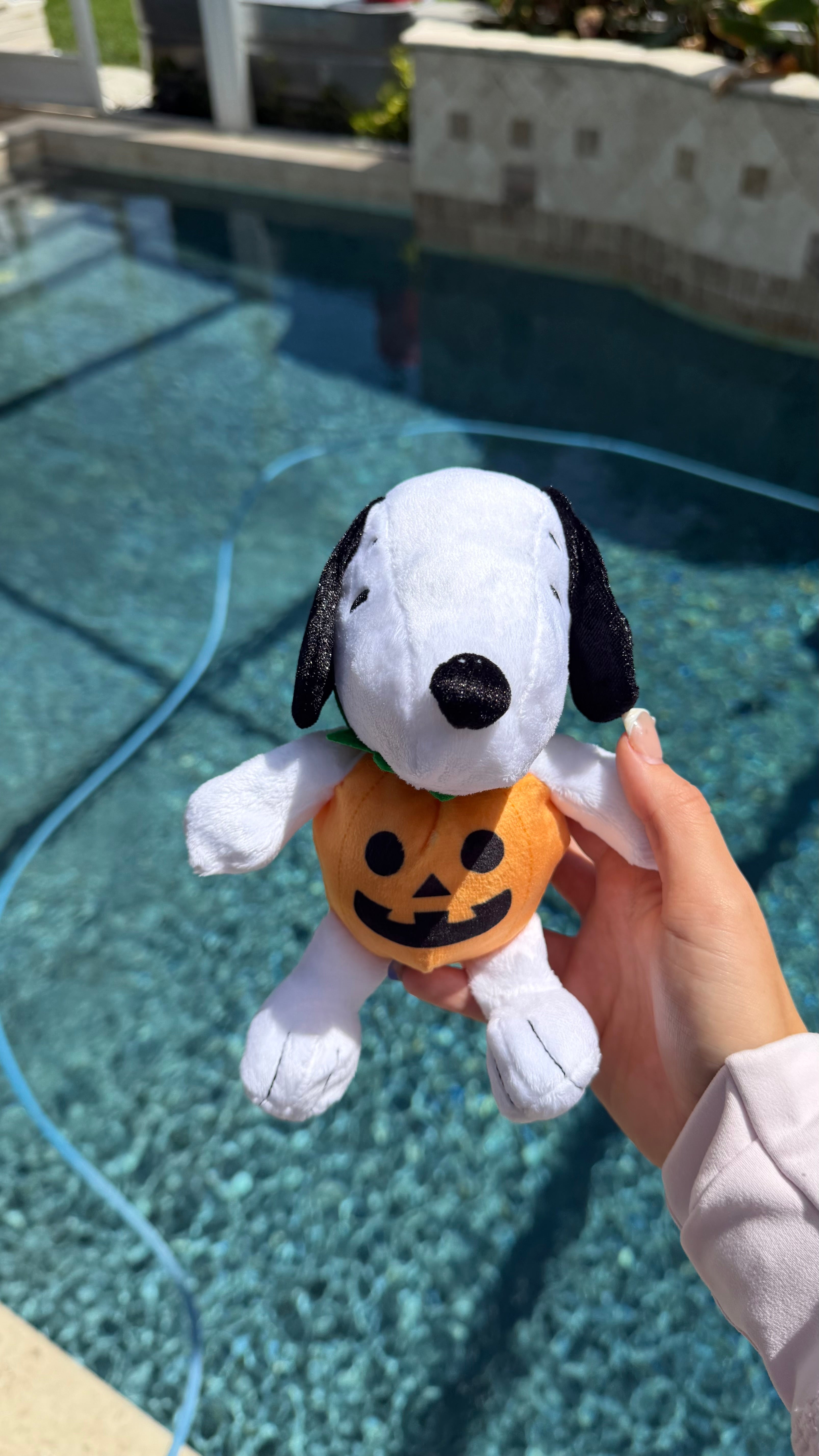 Pumpkin Snoopy Plush