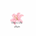 Flowers By Layla LLC - Home